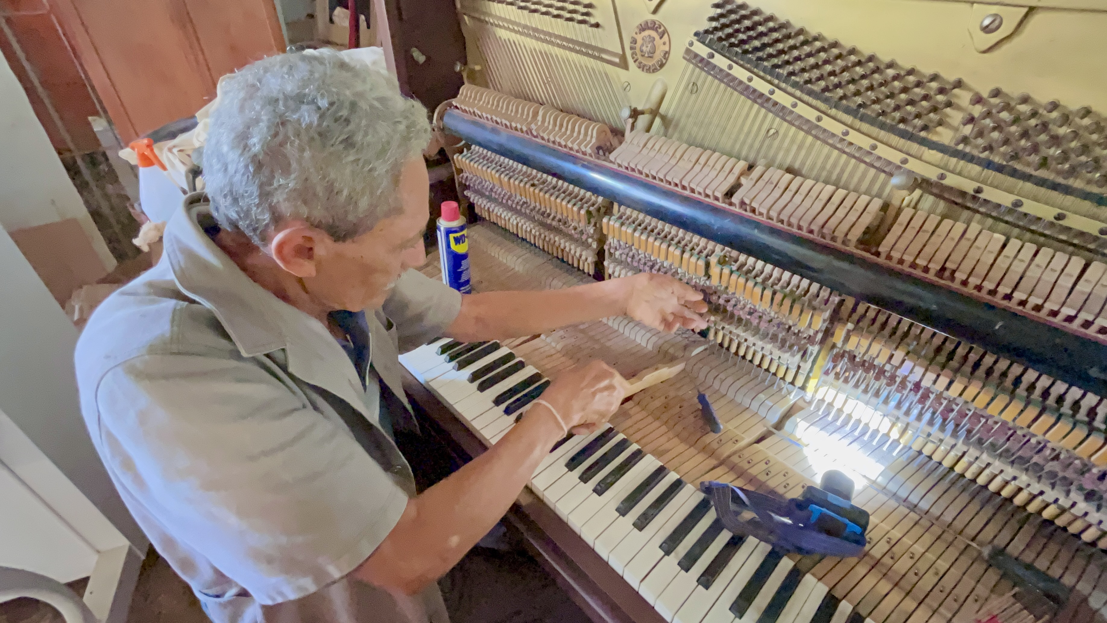 Foto: Andr&eacute;a Moura