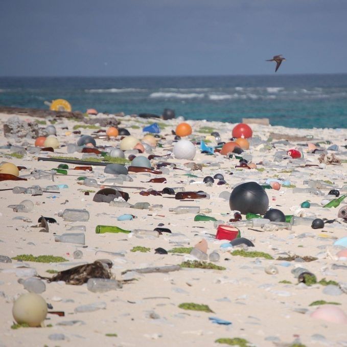 ONU Meio Ambiente promove curso online em português sobre lixo marinho
