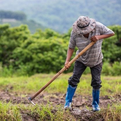 Agricultura familiar: BNB beneficiou 2 milhões de pessoas em 2021